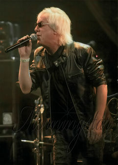 Mike Gill