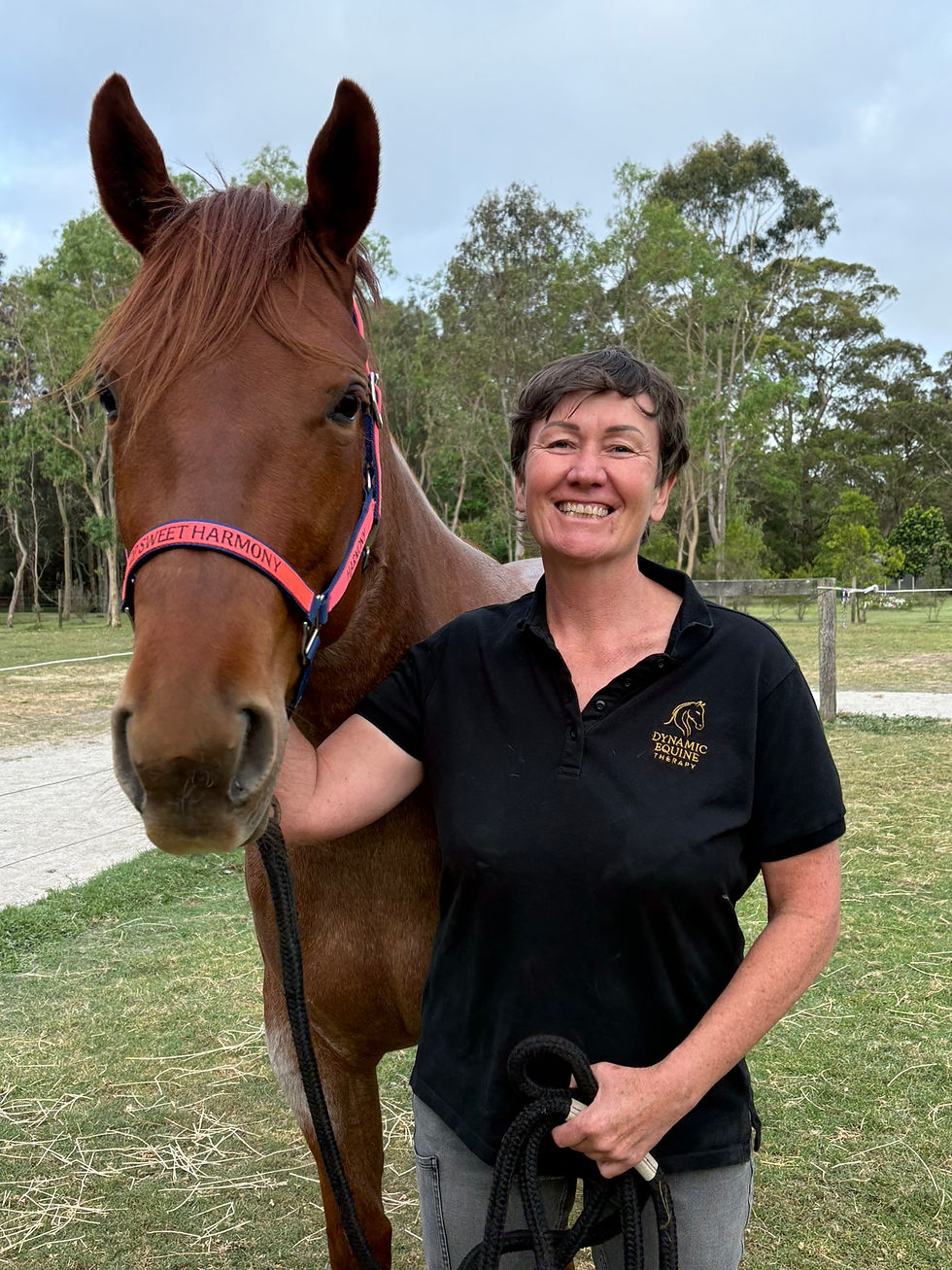 Why Choose Dynamic Equine Therapy for Your Horse?