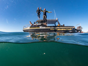 Waiheke rangatahi diving into Tīkapa Moana