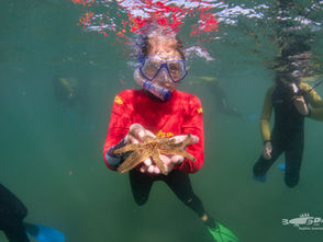 A young marine biologist in the making! - Kyra Barker's volunteer journey with Mountains to Sea