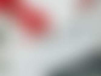 Homesteading while sick and the 80-year food shortage