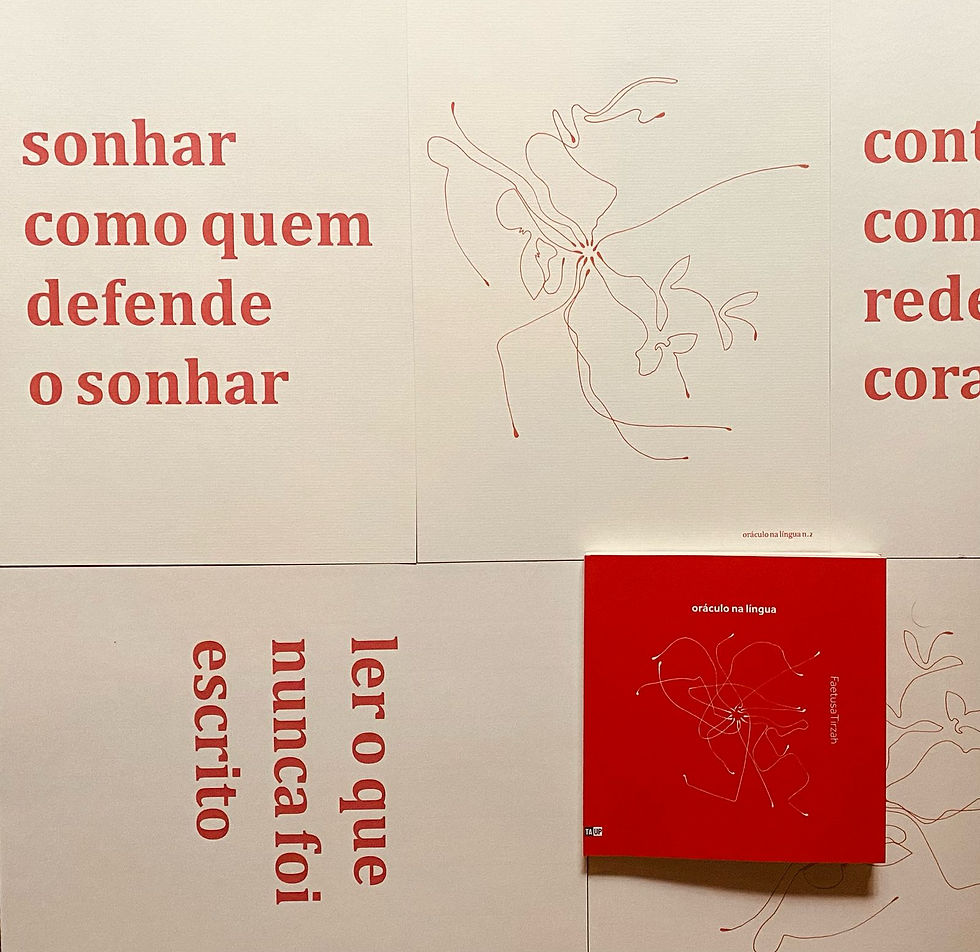 livro + jogo de cartazes A4
