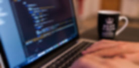what-a-software-developer-brings-to-the-