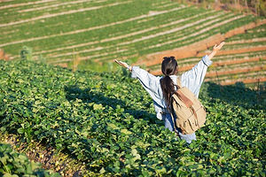 woman-spread-arms-strawberry-farm_1150-36960.jpg