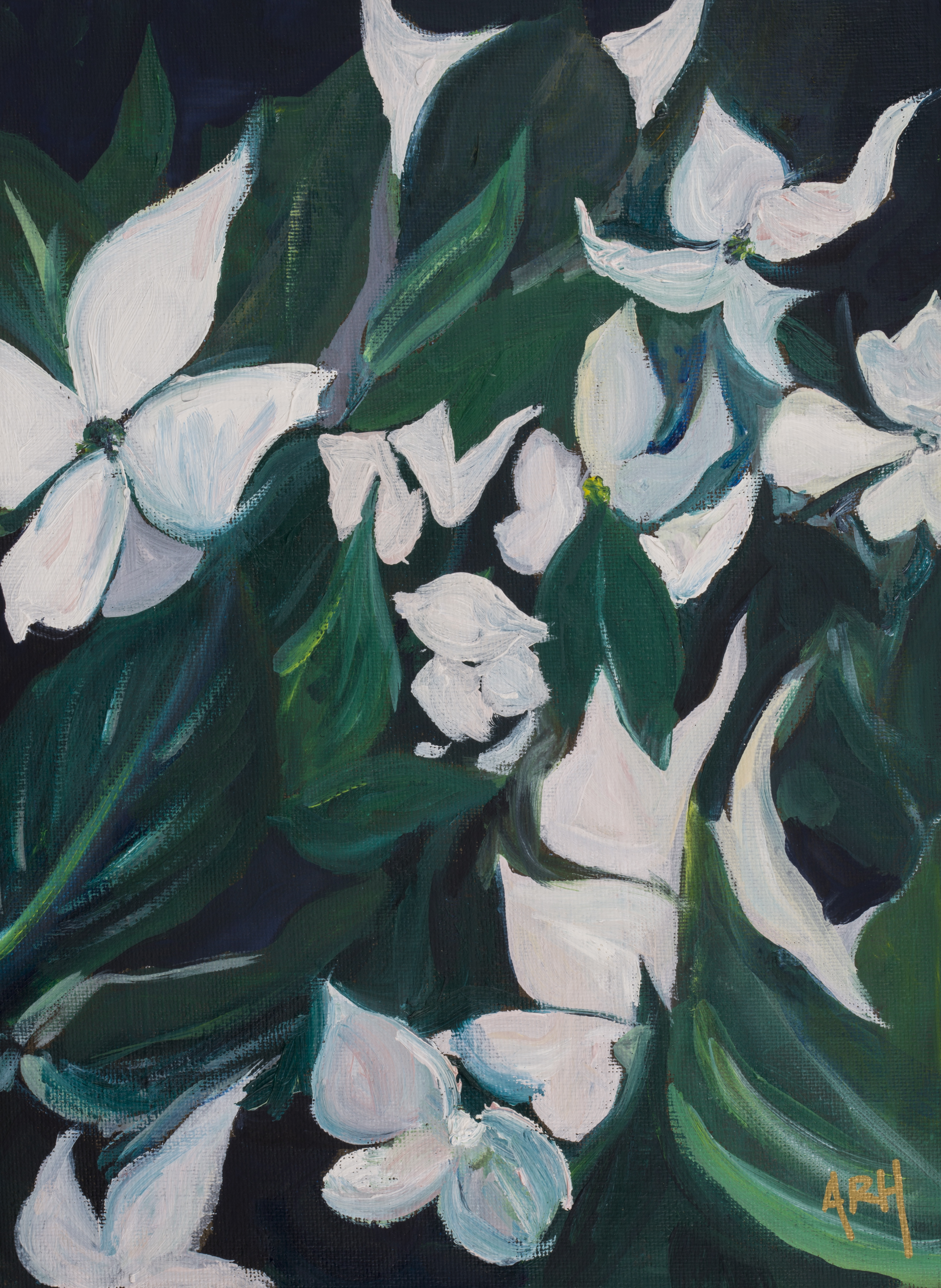 Dogwood