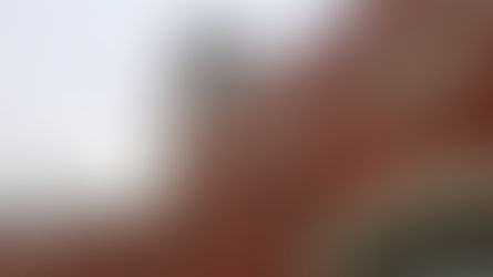 3월의 현장체험학습🇰🇷