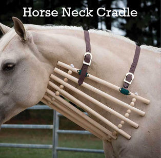 February's President's Challenge - Wearables