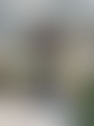 Chainsaw Cutting Table