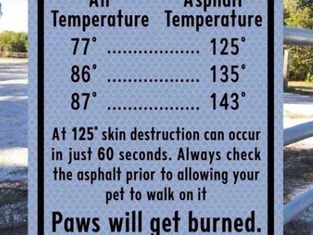 Did MSWG make a good decision to cancel the June 18 event? YES - Read on for Heat Hazard Recognition