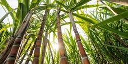 images (11)