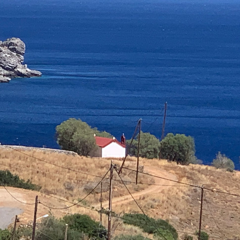IMG_8003.jpeg