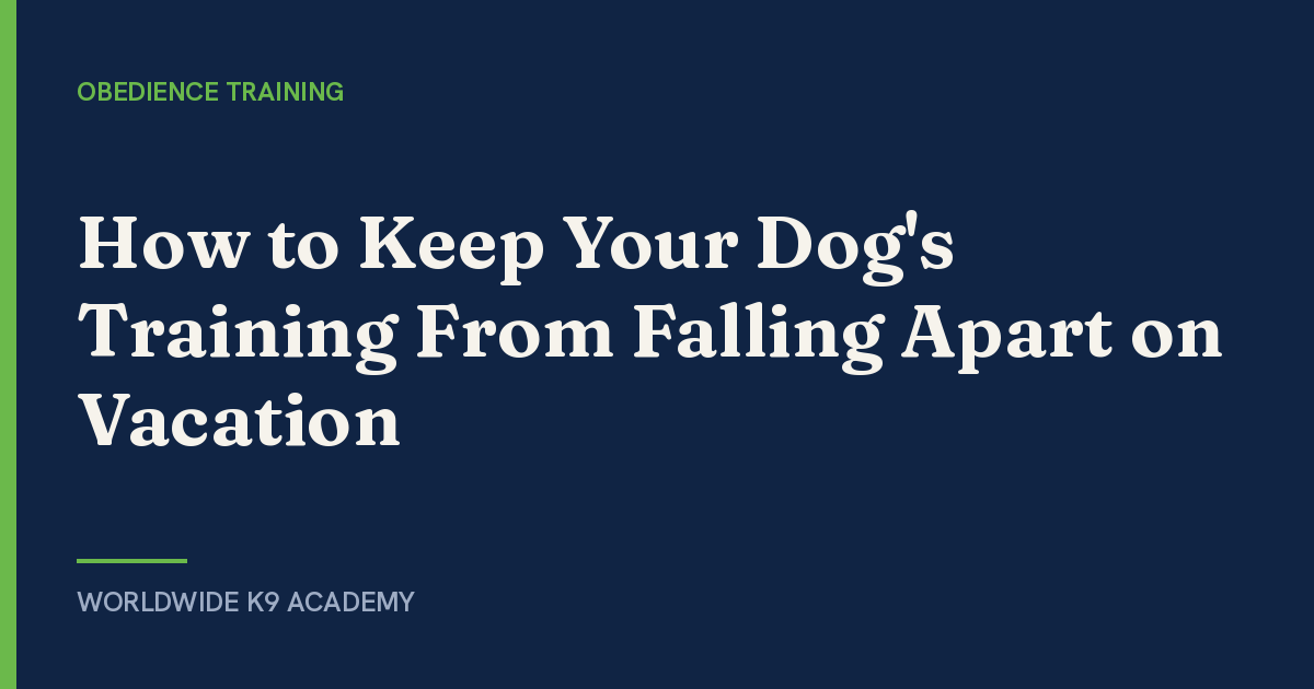 How to Keep Your Dog's Training From Falling Apart on Vacation - WorldWide K9 Academy