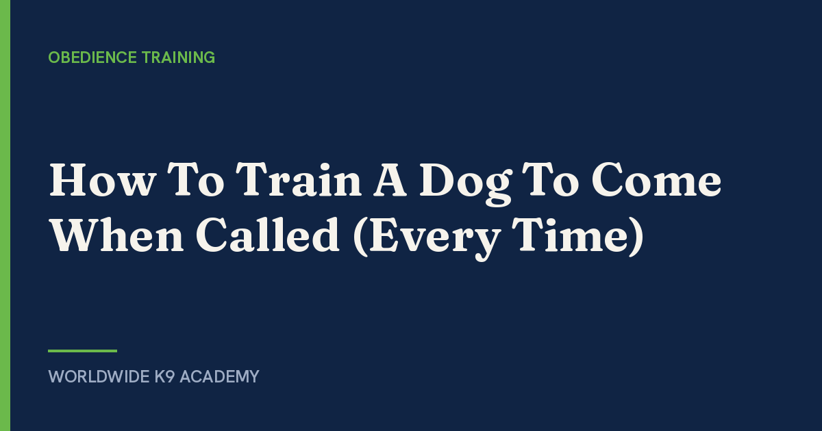 How To Train A Dog To Come When Called (Every Time) - WorldWide K9 Academy
