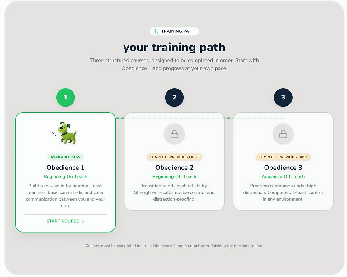 a visual description of the course and its training path!
