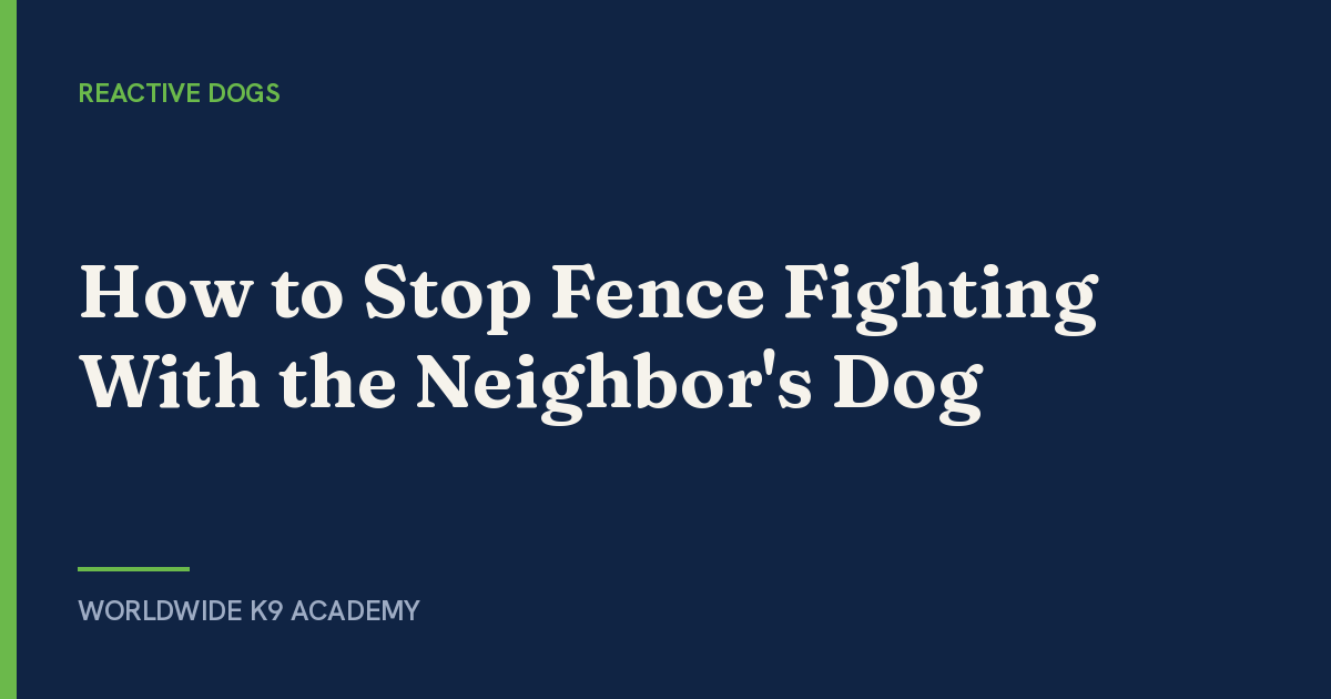 How to Stop Fence Fighting With the Neighbor's Dog - WorldWide K9 Academy