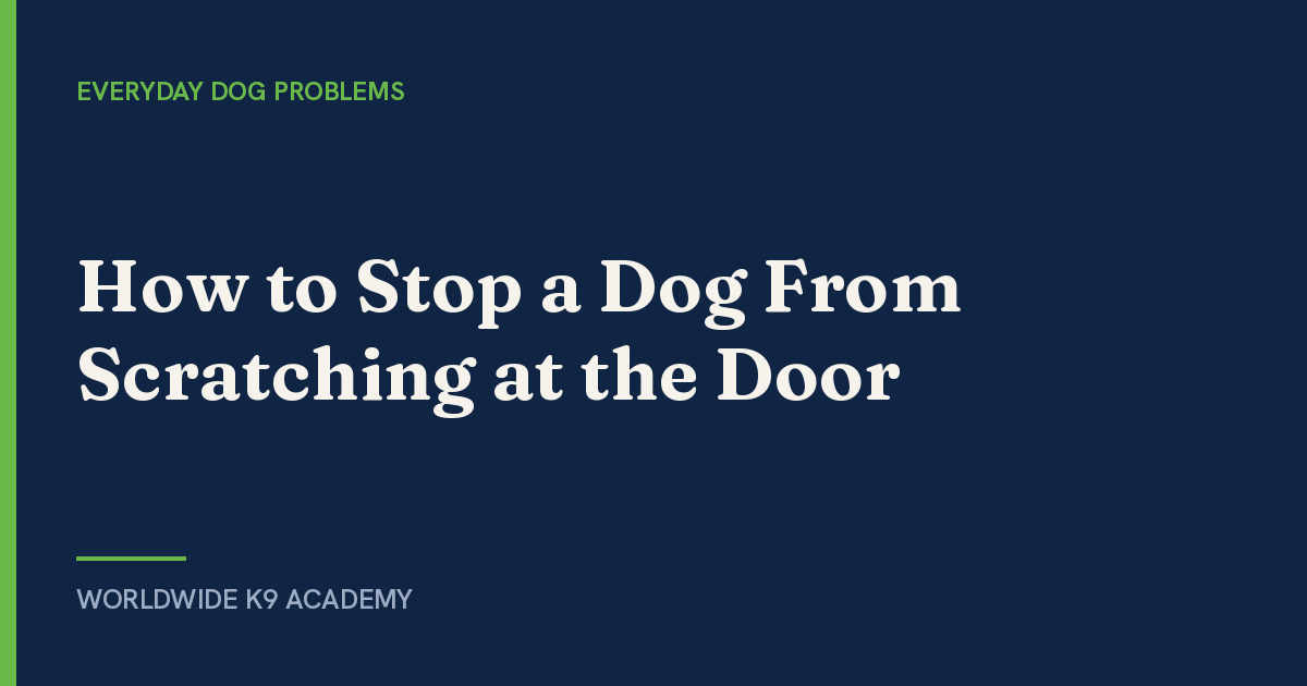 How to Stop a Dog From Scratching at the Door - WorldWide K9 Academy