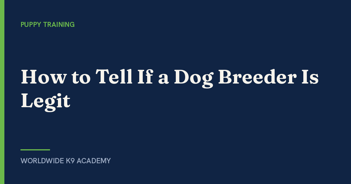 How to Tell If a Dog Breeder Is Legit - WorldWide K9 Academy