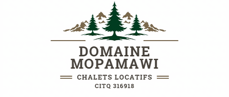 Logo (Site Web)_edited.png