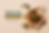 website 5.png