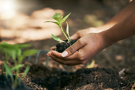 black-woman-hands-or-planting-in-soil-agriculture-2023-11-27-05-33-24-utc.jpg
