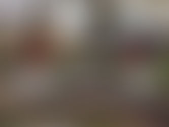 Christmas at the Ball Ground Botanical Garden 2022