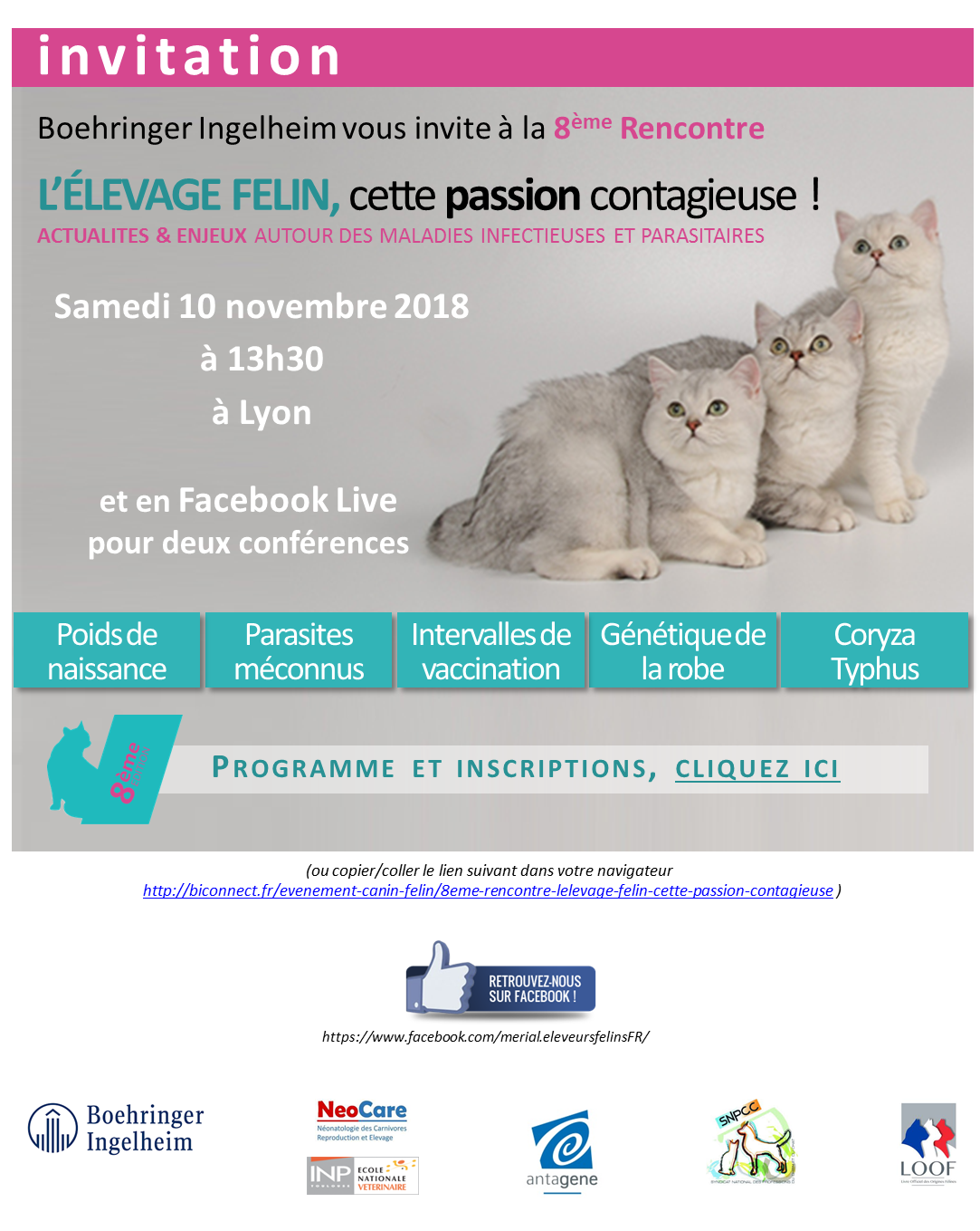 Site De Rencontre Passion Animaux