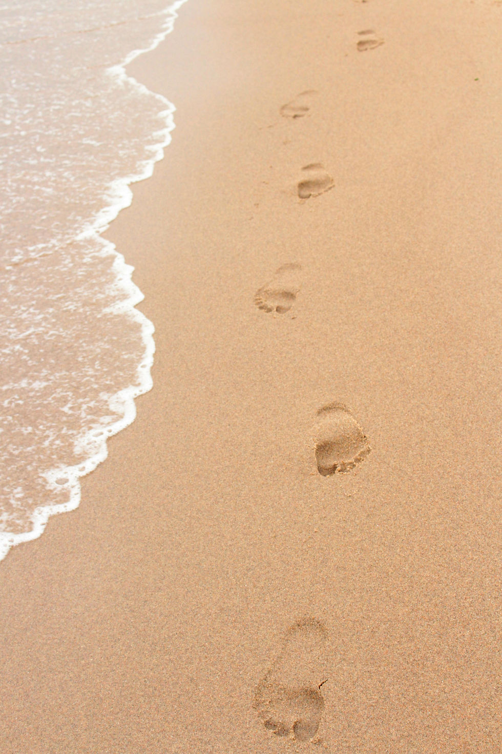 Footprints in wet sand on a beach