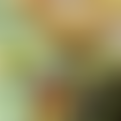 Traiteur pour un anniversaire