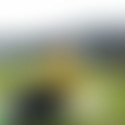 AKTIVITETSTIPS I PÃ…SKEN