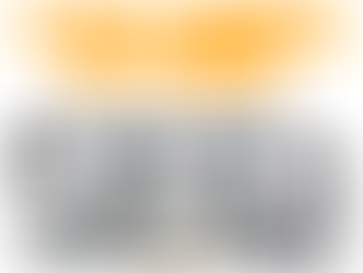 The New Buzzaround LT is in stock!