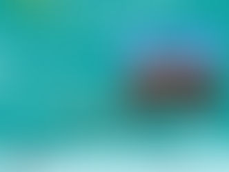 JOIN US ON THE PORCH NEXT WEDNESDAY!