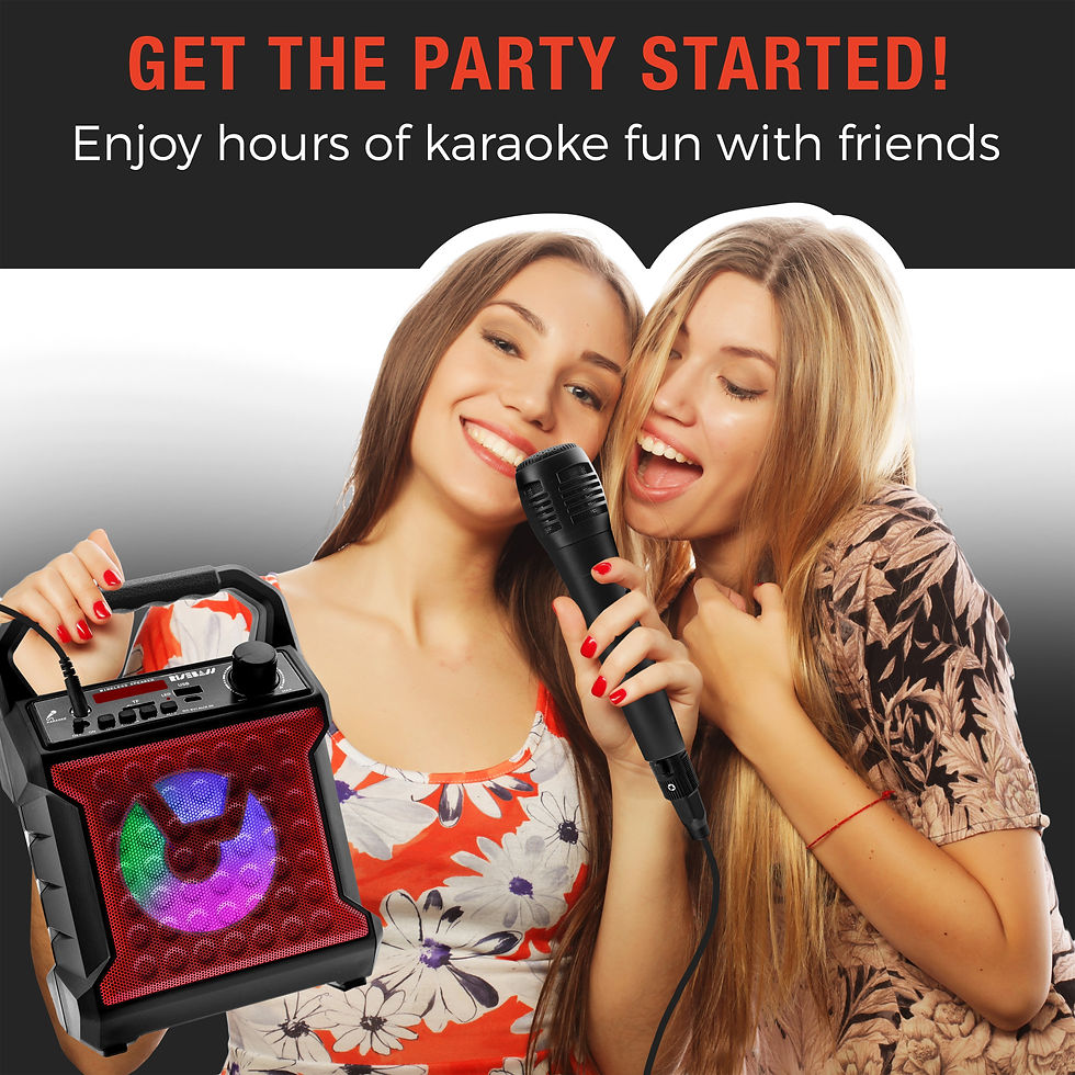 Miniatura: Risebass Portable Karaoke Machine with Microphone - Home Karaoke System with Par