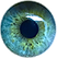 Piiloutunut .png