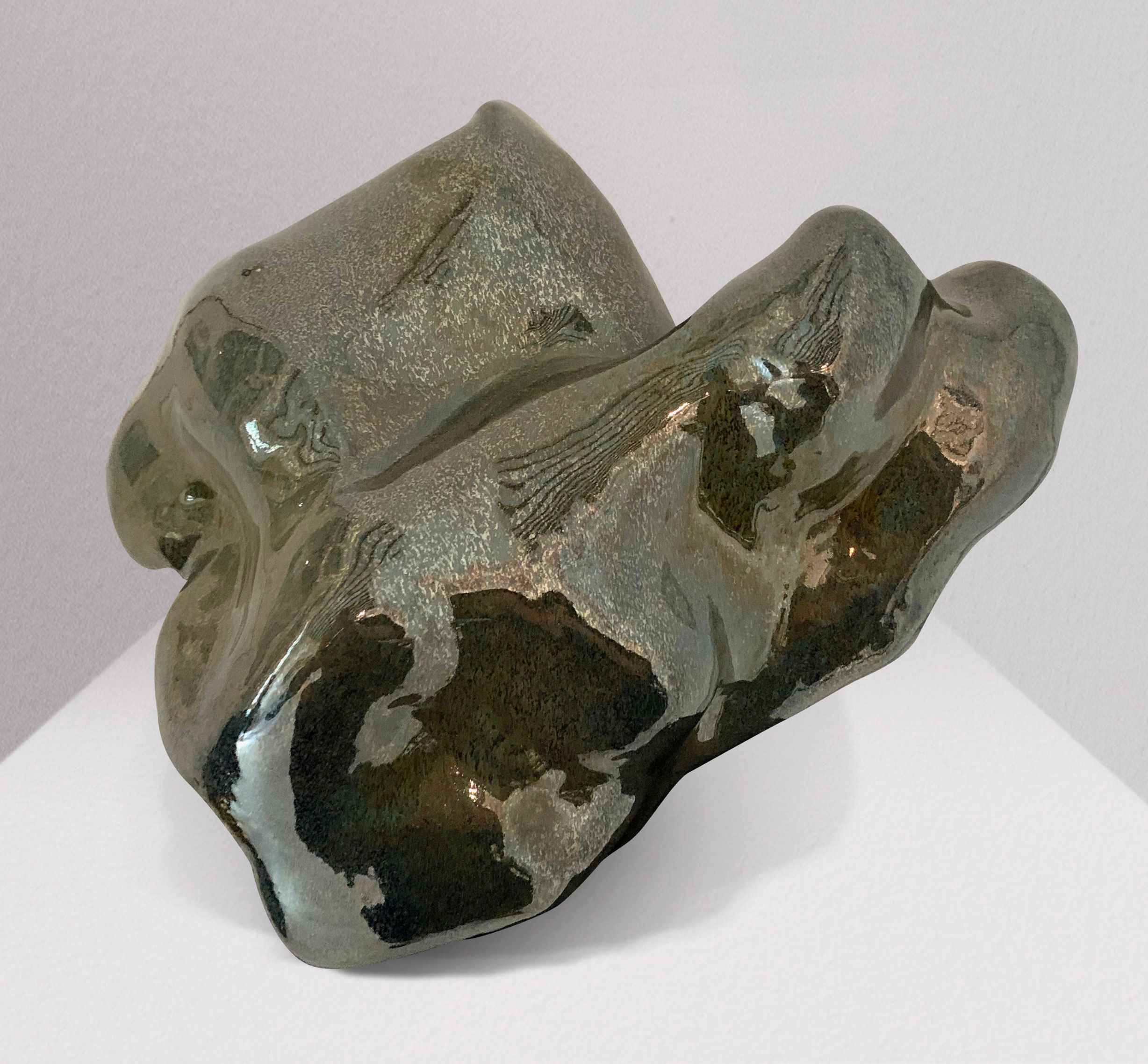 NICK CHIN Pupa to Maturity