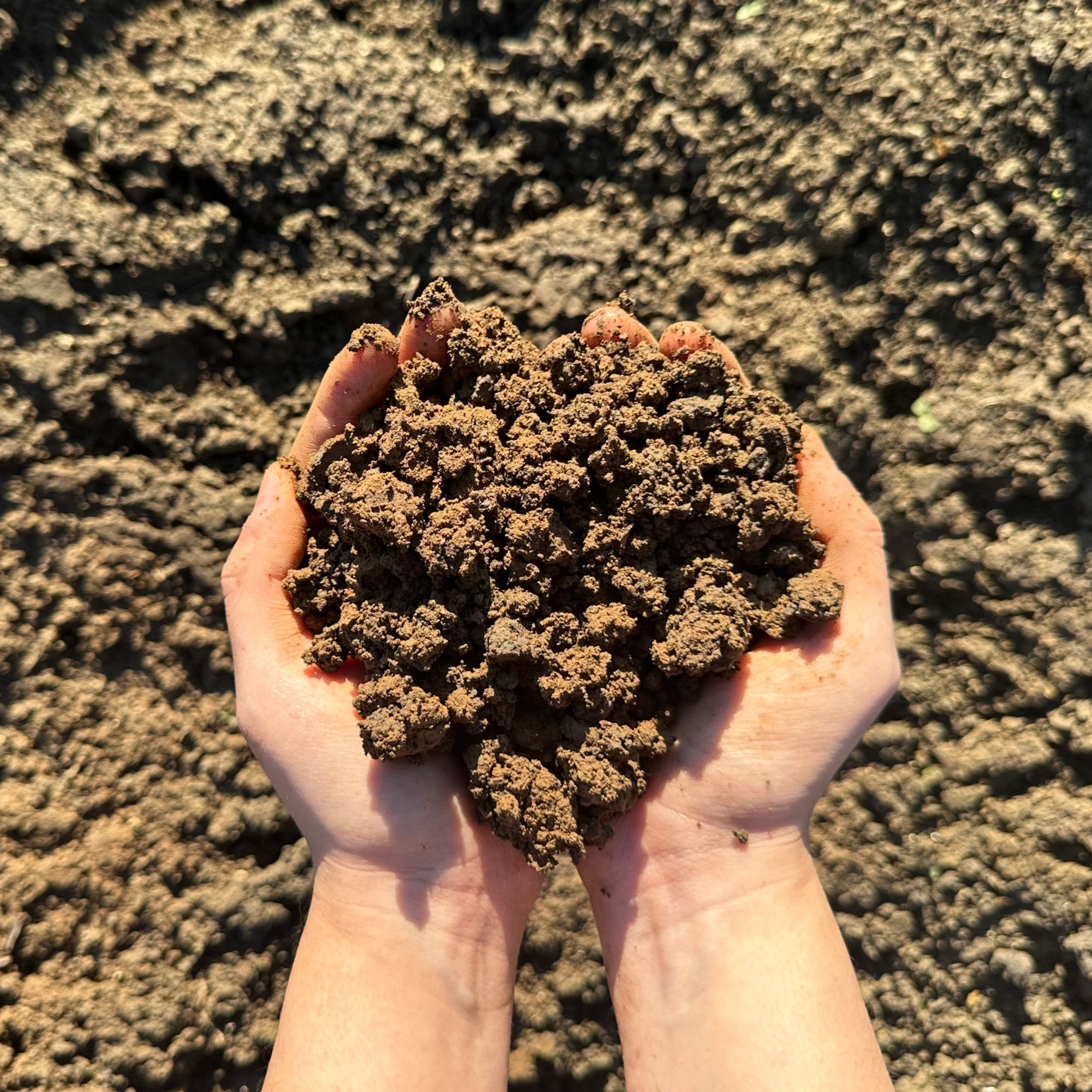 Unscreened Topsoil