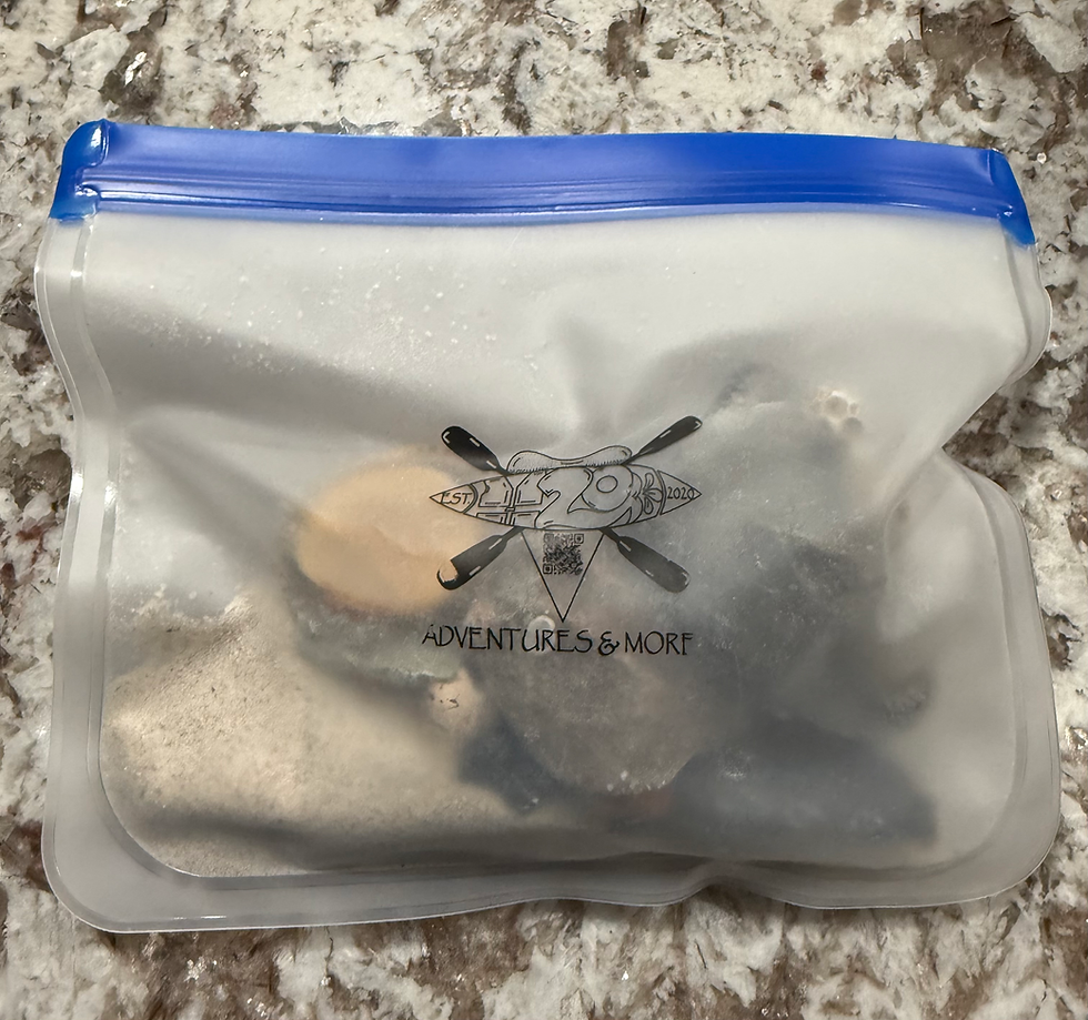 Thumbnail: Fossil Grab Bags