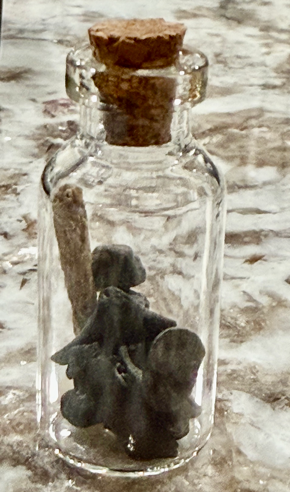 Thumbnail: Mini bottle of fossils