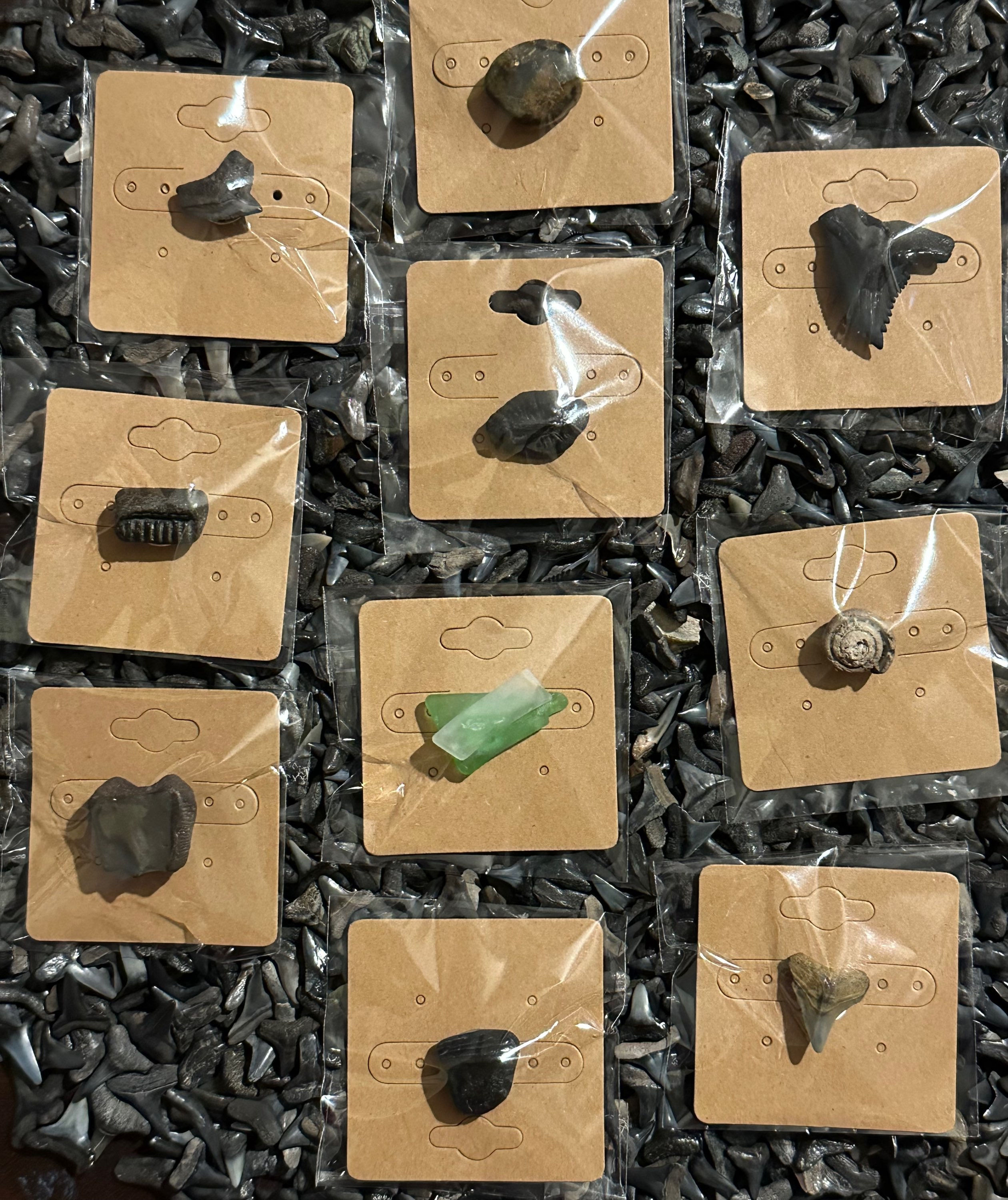 Fossil & Sea Glass Pins