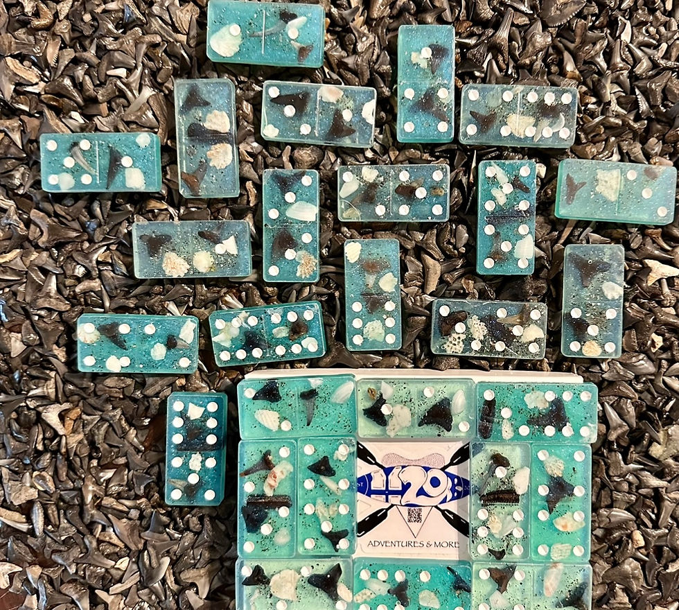 Thumbnail: Shark Tooth Dominoes