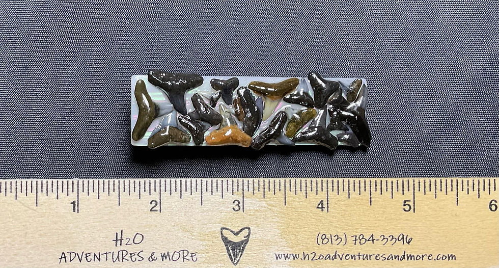 Thumbnail: Embellished Fossil/Shell Barrette (large)
