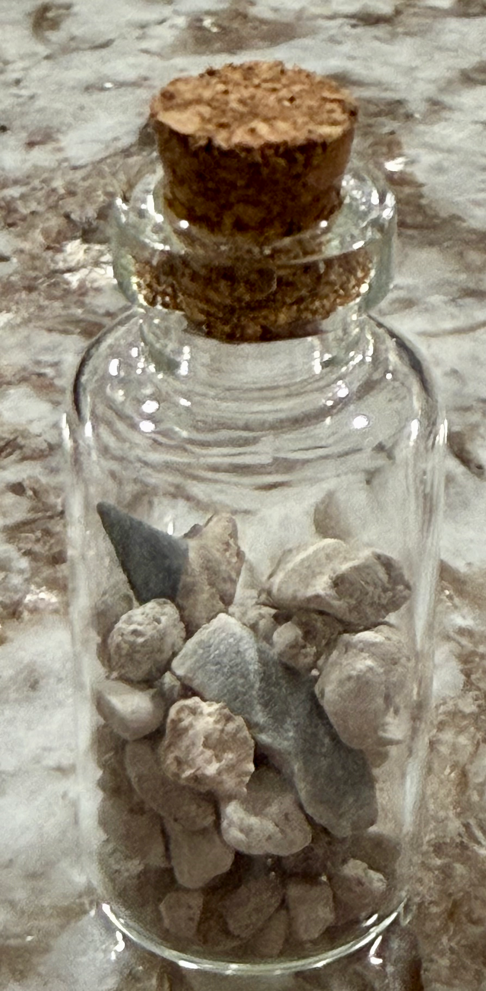 Thumbnail: Mini bottle of fossils