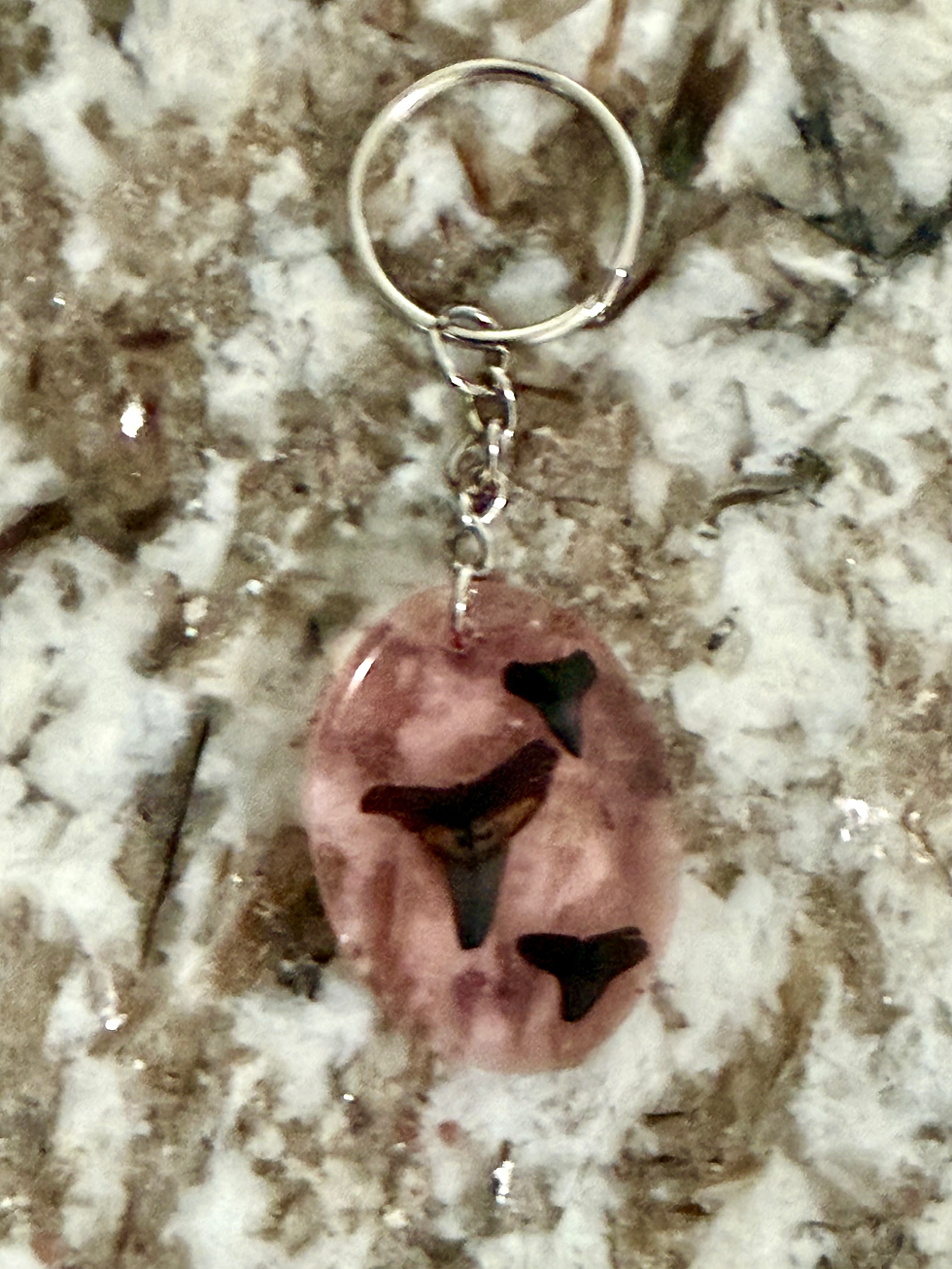 Thumbnail: Shark Tooth Keychains
