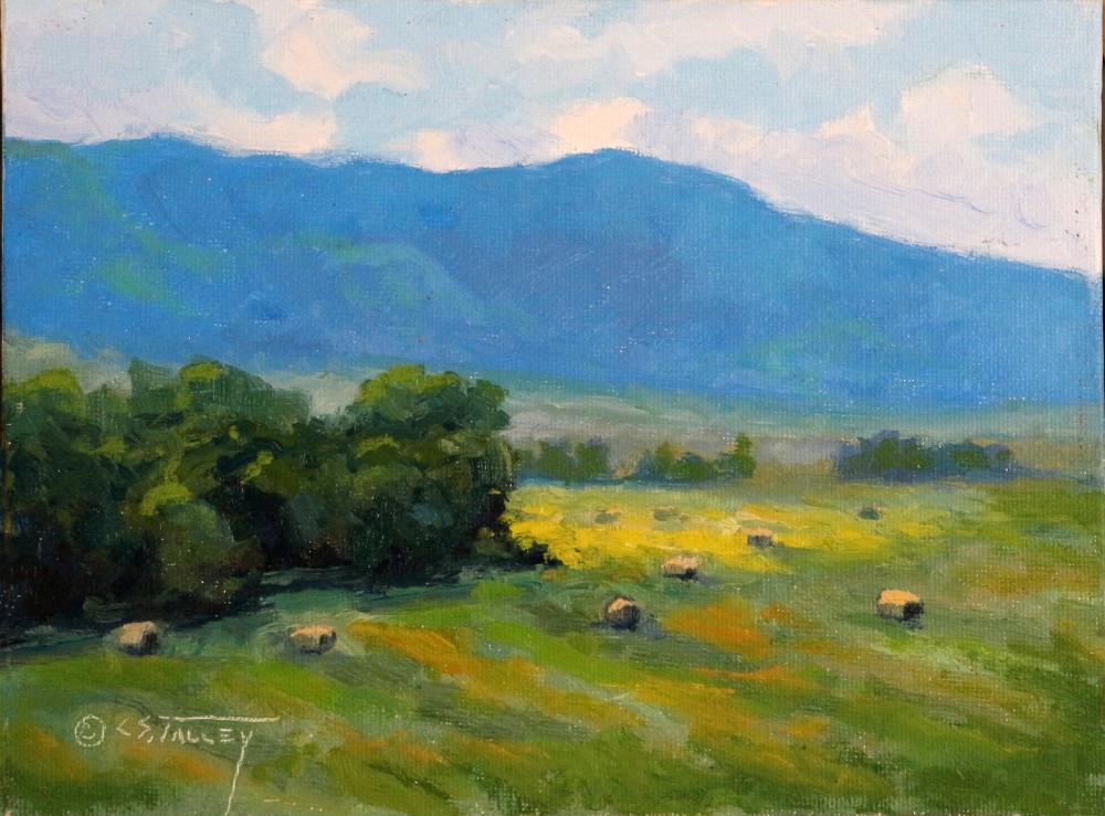 C. S. Talley