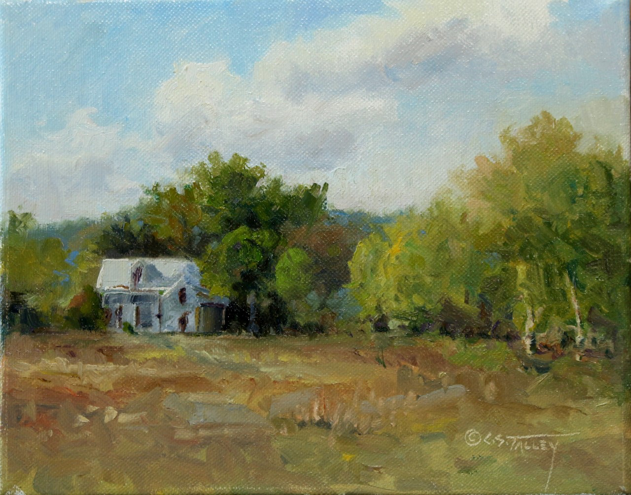 C. S. Talley