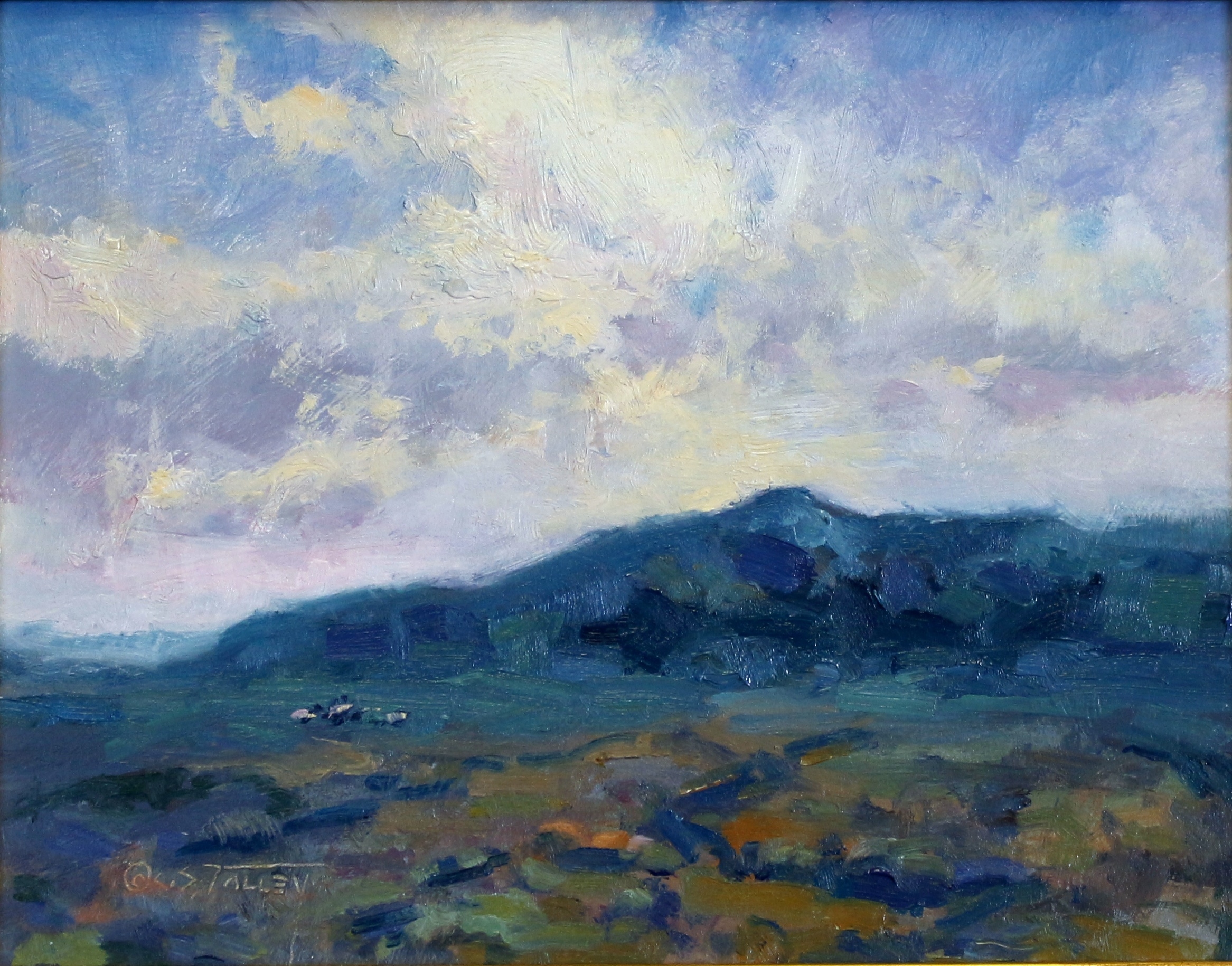 C.S. Talley