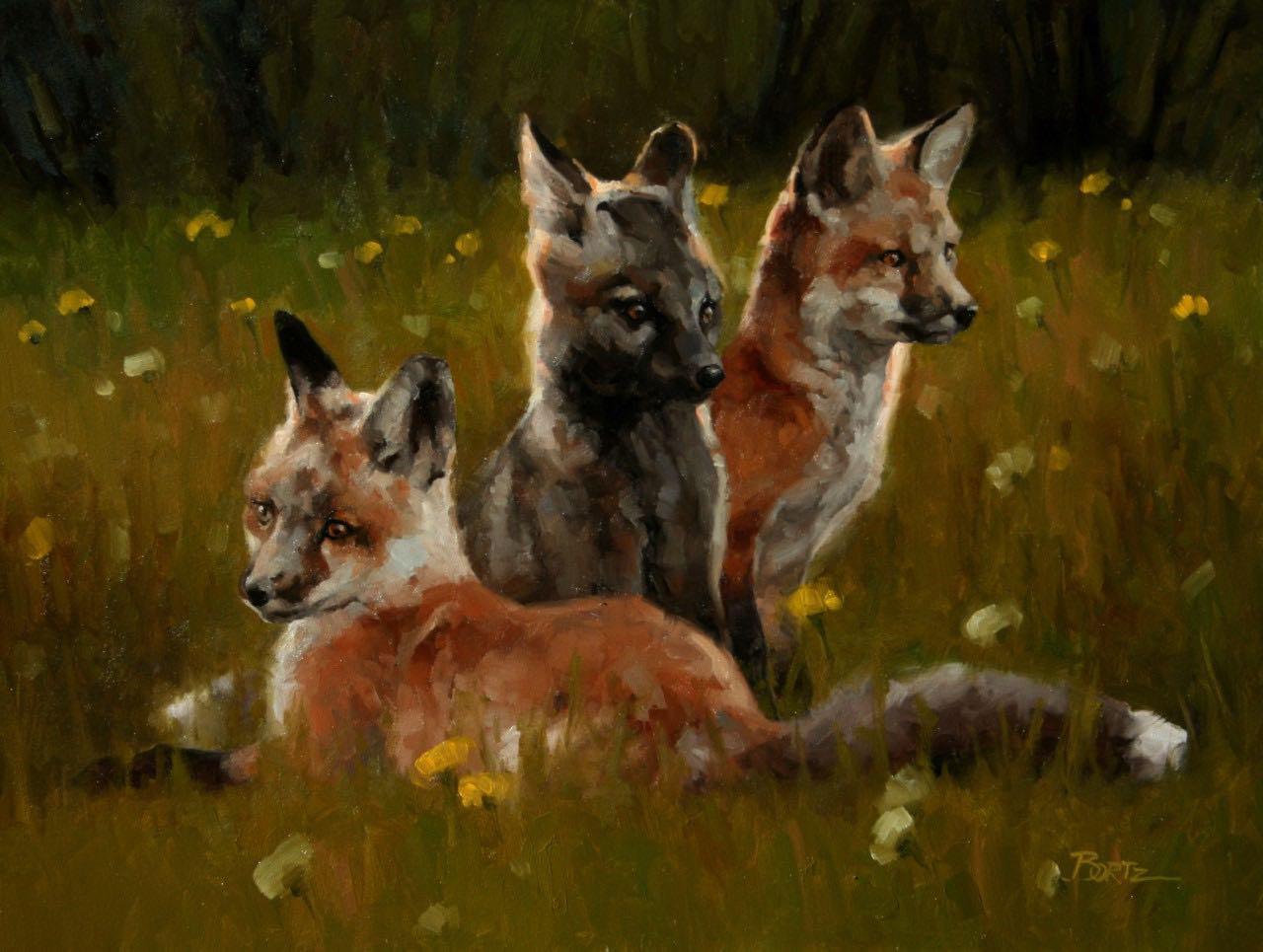Jim Bortz