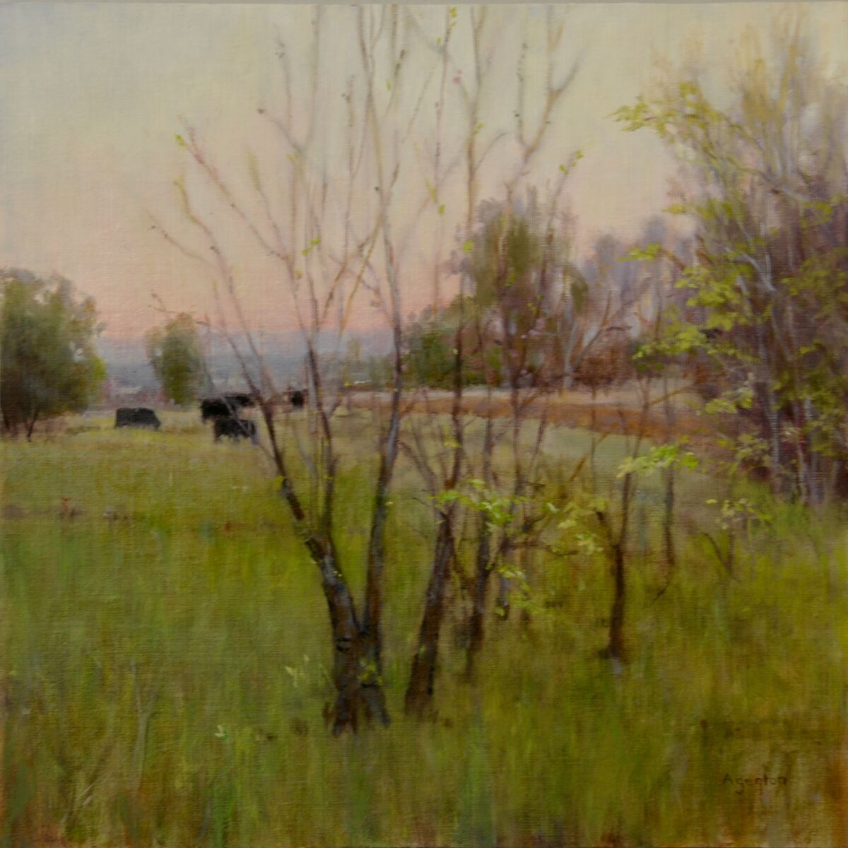 Mallory Agerton