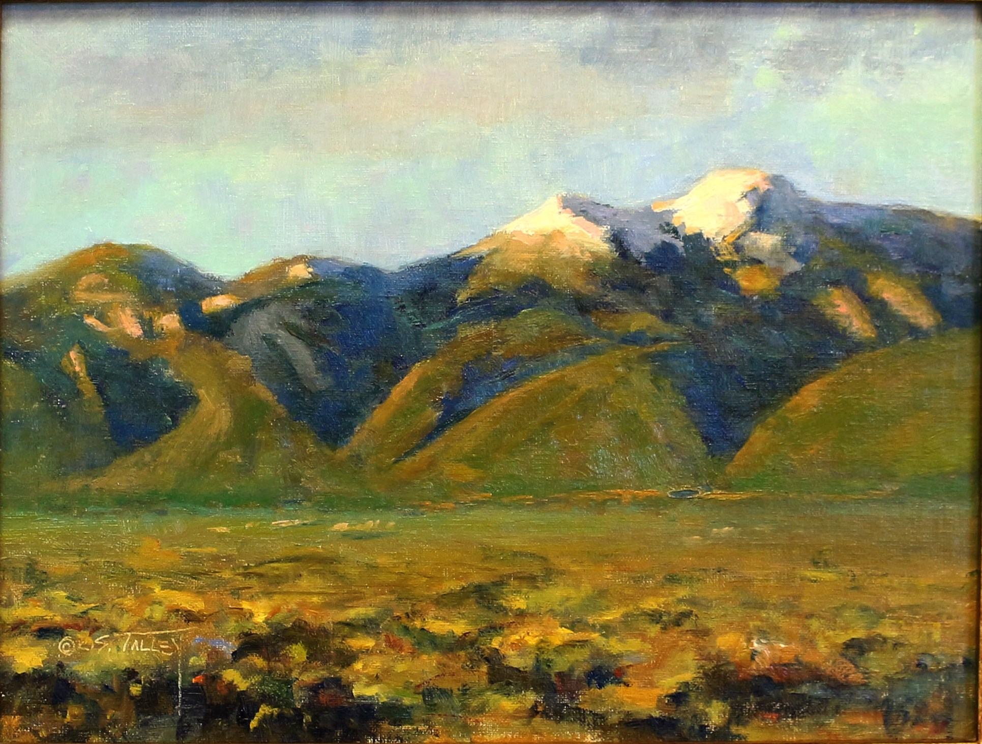 C. S. Talley