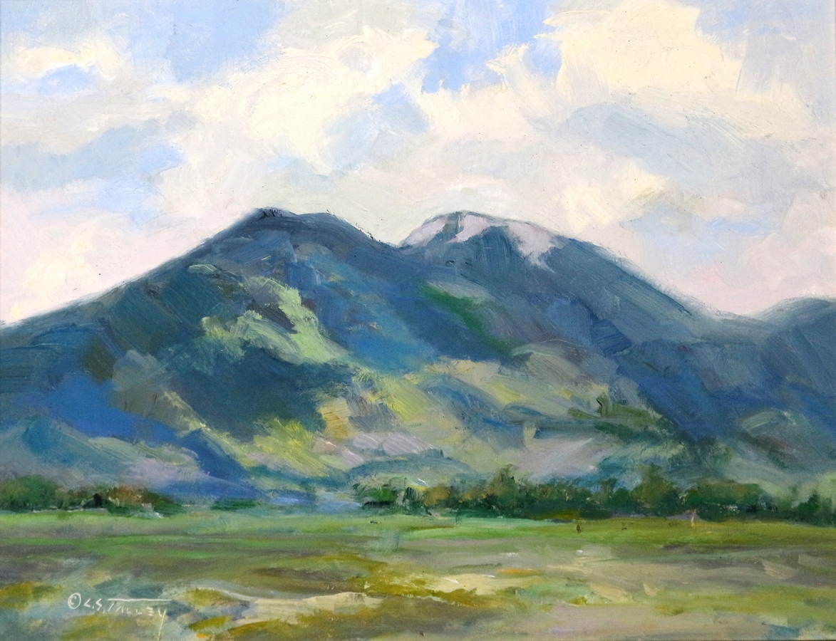 C.S. Talley