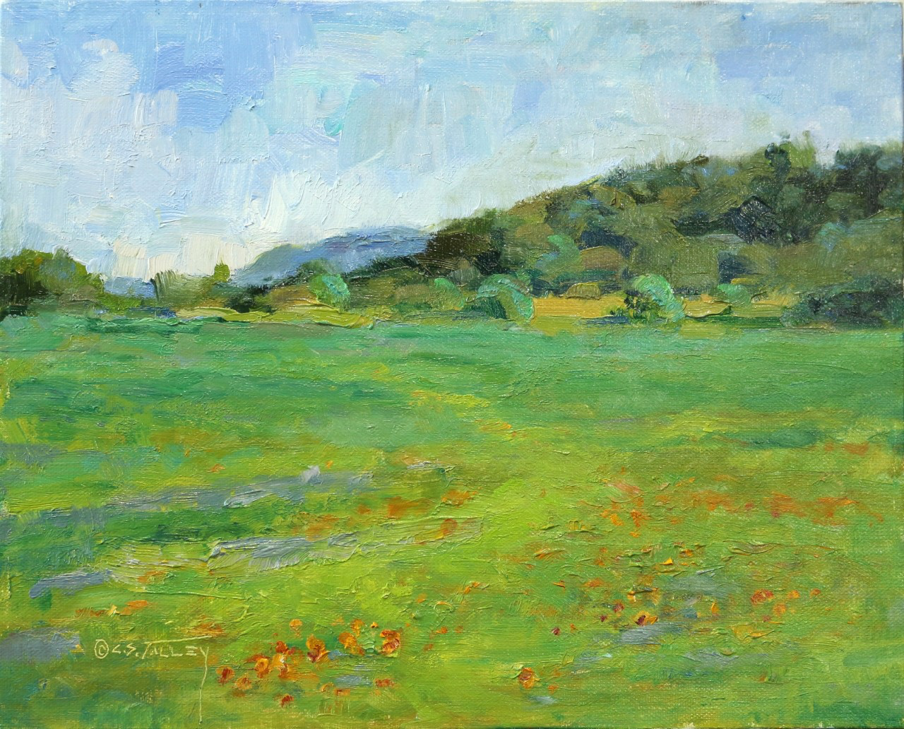 C. S. Talley